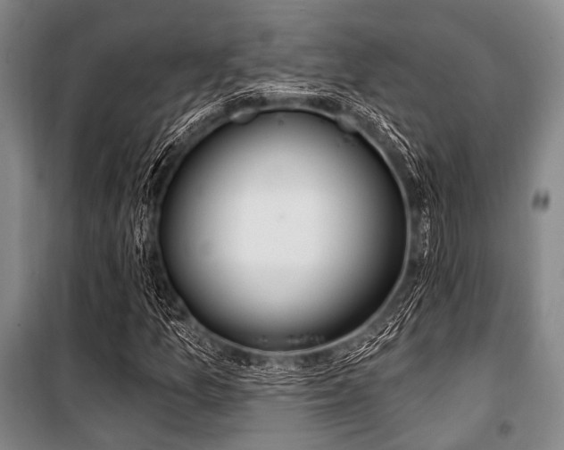 X0000100471157200806131121