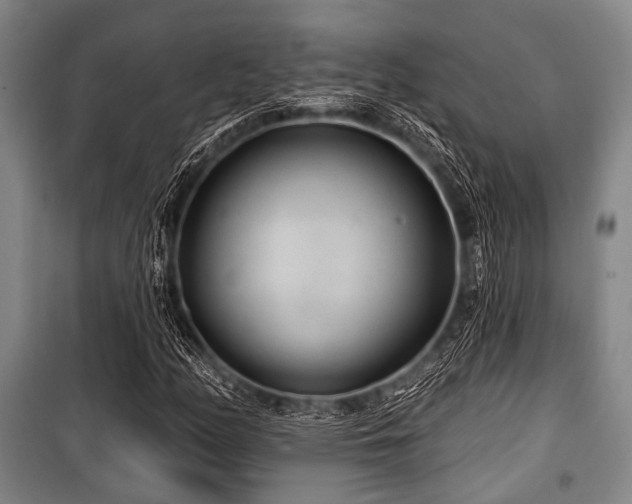 X0000100471158200806131121