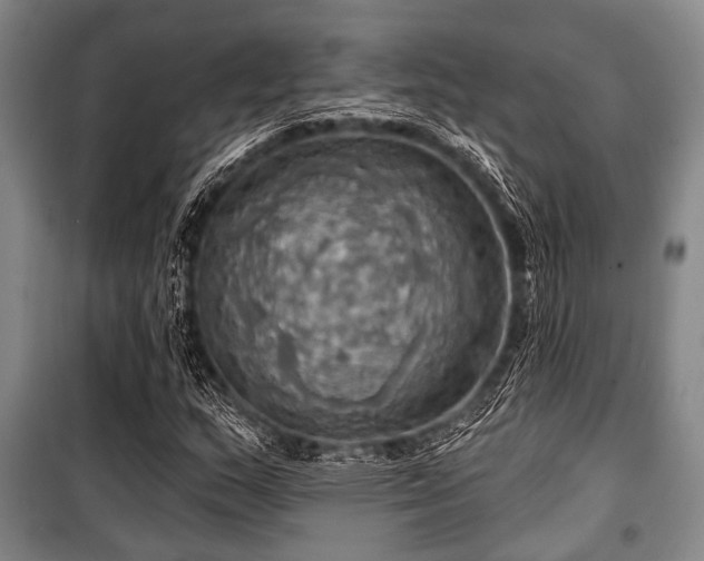 X0000100471159200806131121