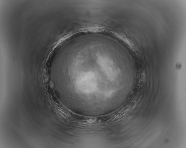 X0000100471160200806131121