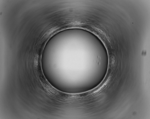 X0000100471161200806131121