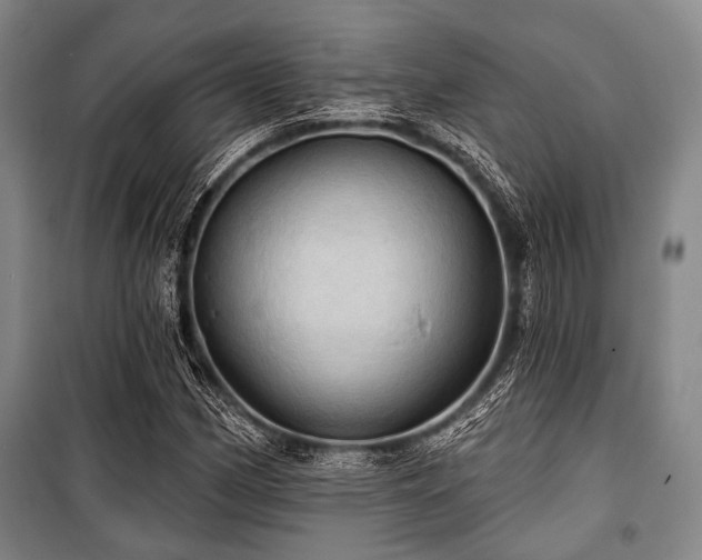 X0000100471162200806131121