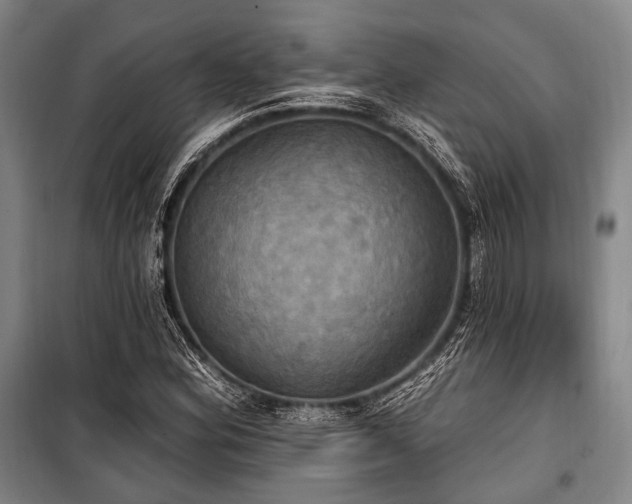 X0000100471164200806131121