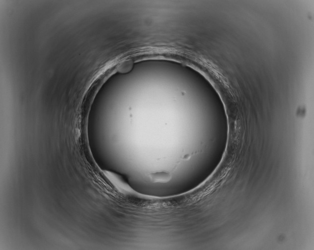 X0000100471165200806131121