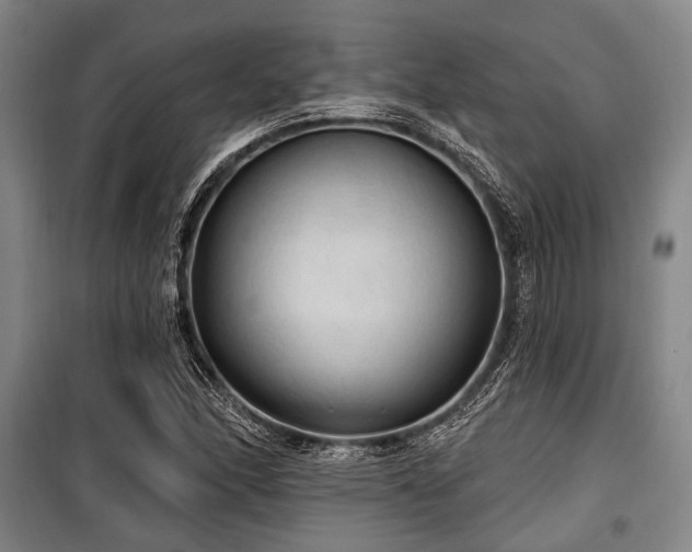 X0000100471166200806131121