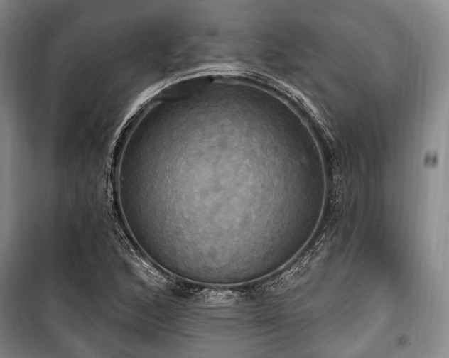 X0000100471168200806131121