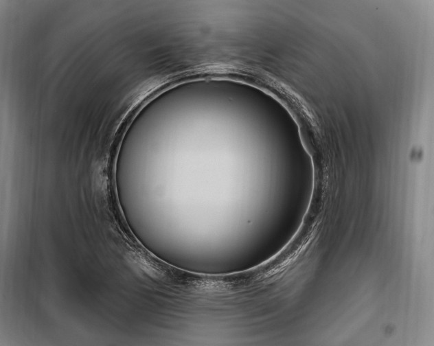 X0000100471170200806131121