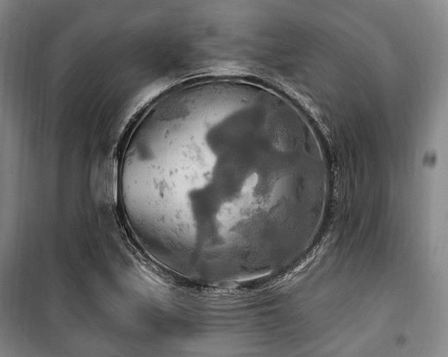 X0000100471171200806131121