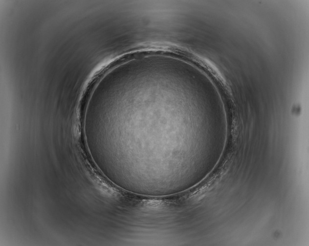 X0000100471172200806131120