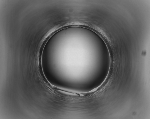 X0000100471173200806131120