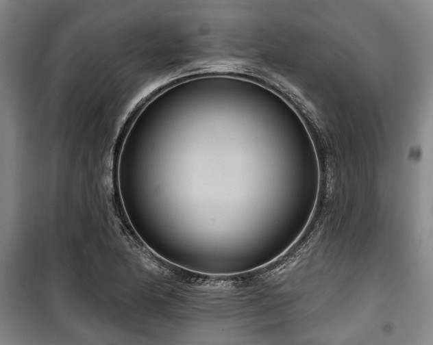 X0000100471174200806131120