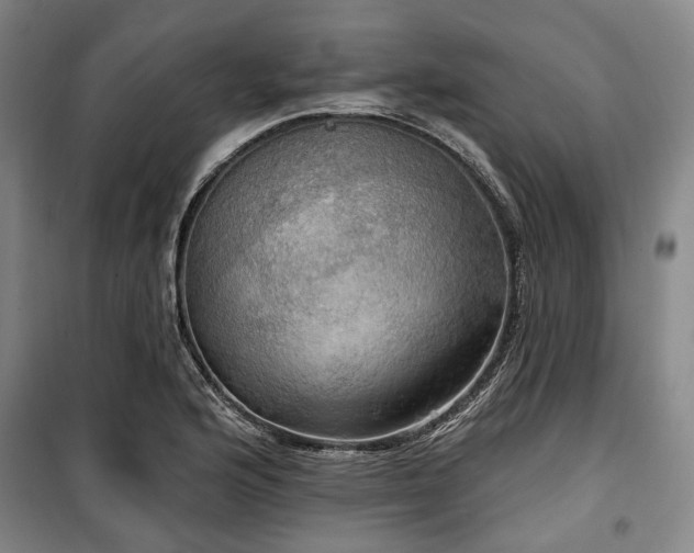 X0000100471176200806131120