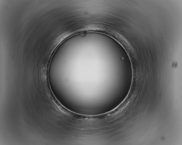 X0000100471177200806131120