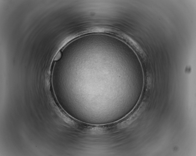 X0000100471178200806131120