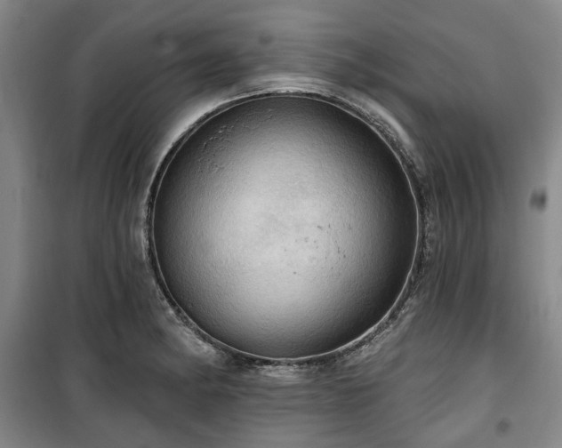 X0000100471182200806131120