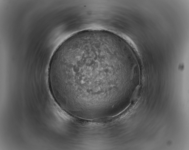 X0000100471183200806131120