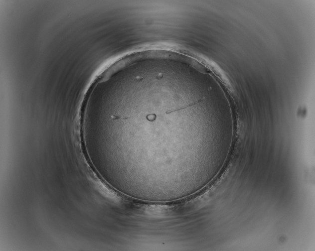 X0000100471184200806131120