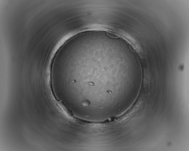 X0000100471188200806131120