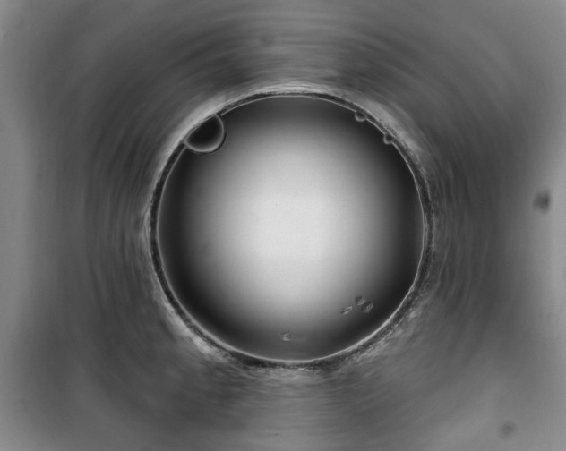 X0000100471189200806131120