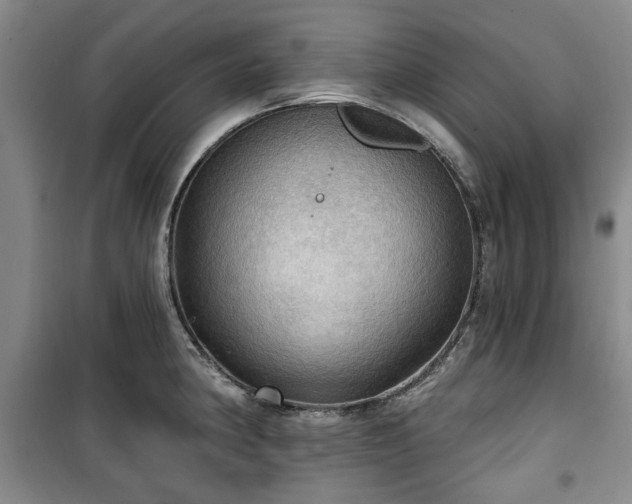 X0000100471190200806131120