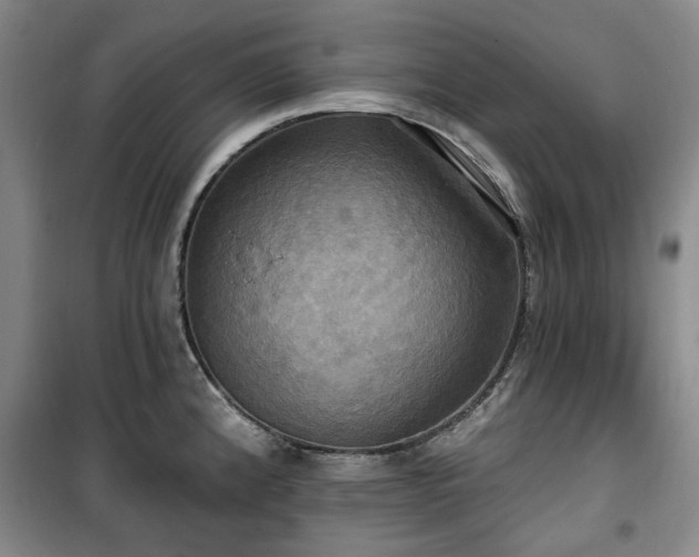 X0000100471192200806131120