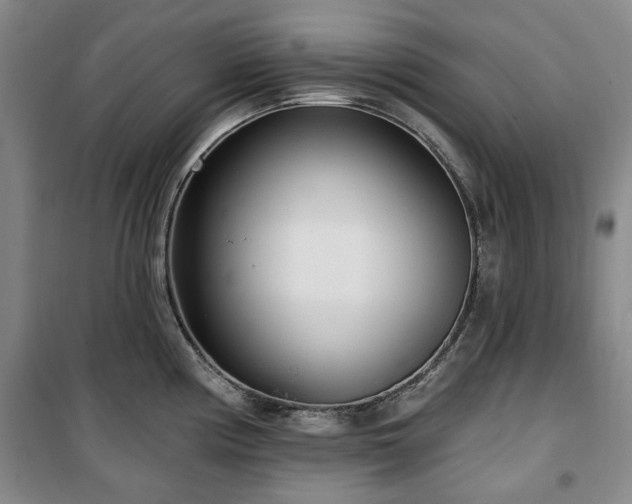 X0000100471194200806131120