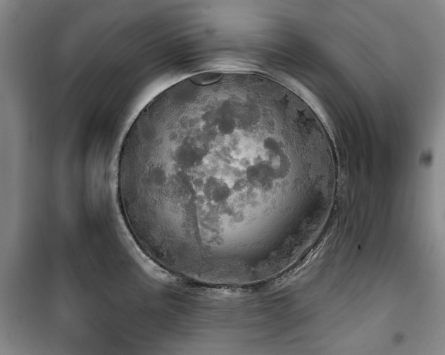 X0000100471195200806131120