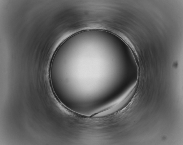 X0000100471197200806131120