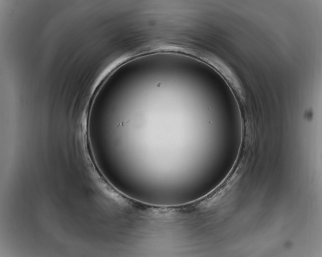 X0000100471198200806131120