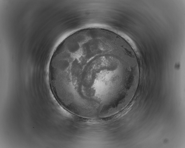 X0000100471199200806131120