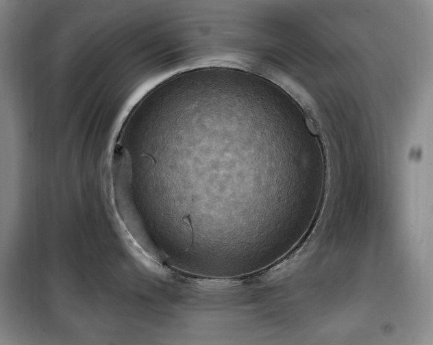 X0000100471200200806131120