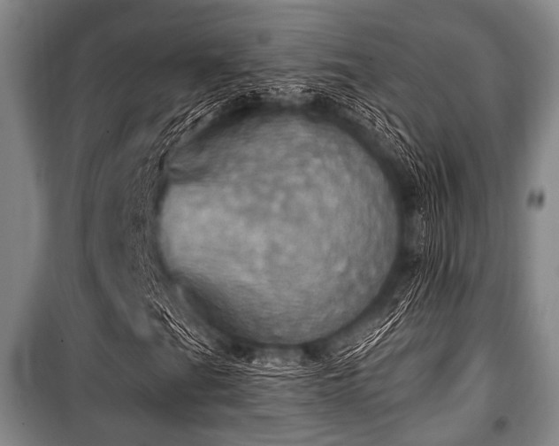 X0000100471201200806131119