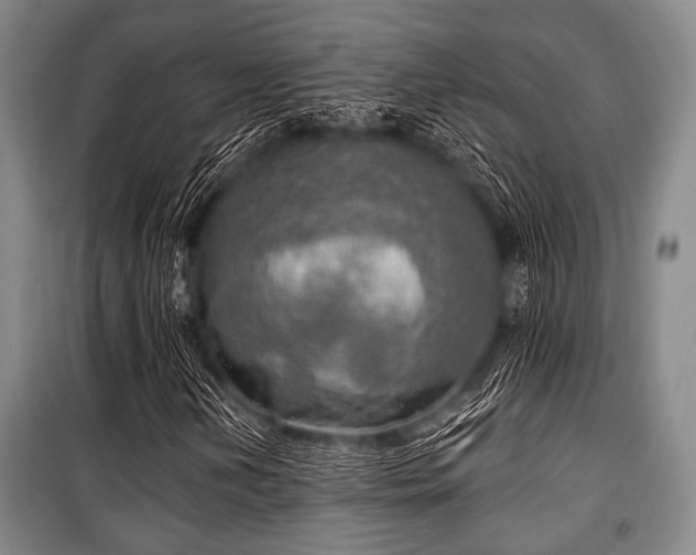 X0000100471202200806131119