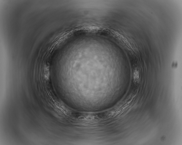 X0000100471204200806131119