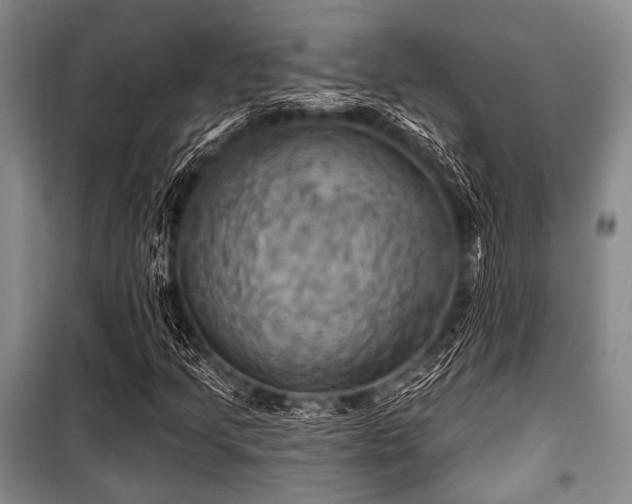 X0000100471205200806131120