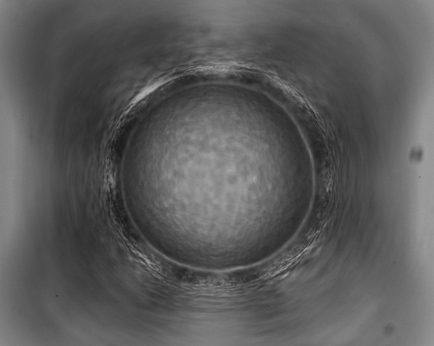 X0000100471206200806131120