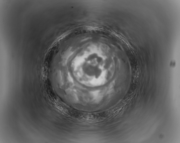 X0000100471207200806131120