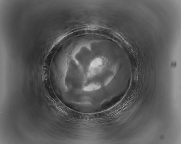 X0000100471208200806131120