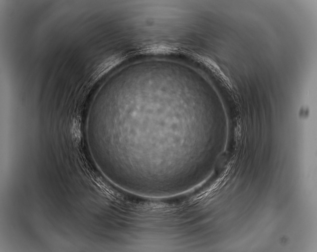 X0000100471209200806131120