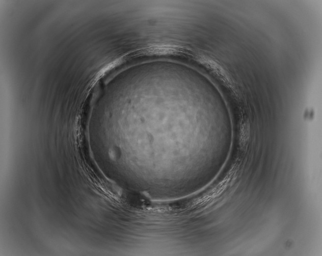 X0000100471210200806131120