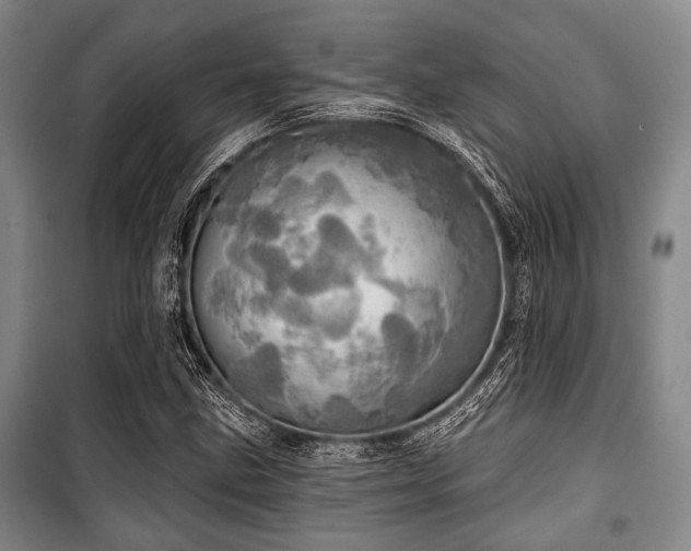 X0000100471211200806131120