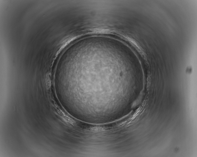 X0000100471212200806131120