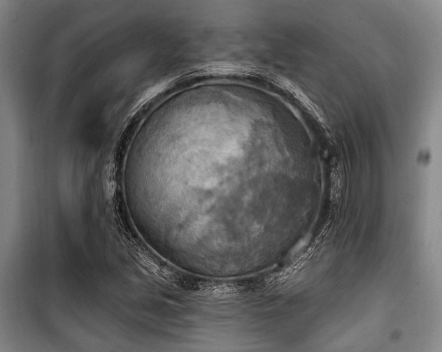 X0000100471213200806131120