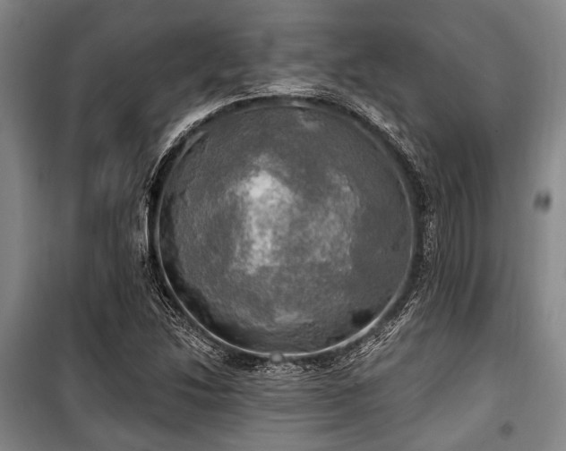 X0000100471214200806131120