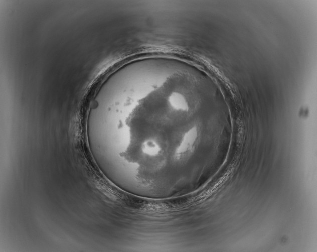 X0000100471215200806131120