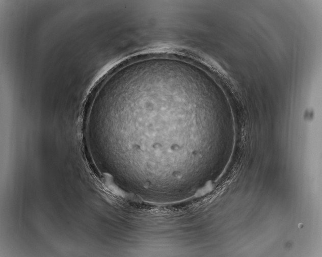 X0000100471216200806131120