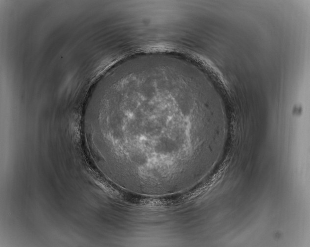 X0000100471217200806131120