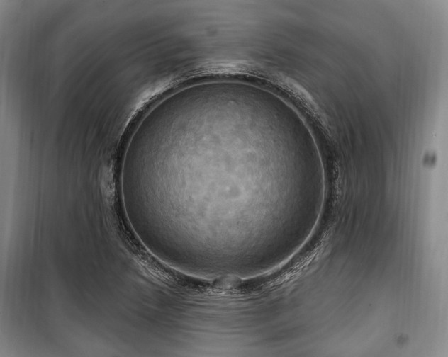 X0000100471218200806131120