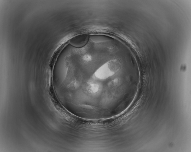 X0000100471219200806131120