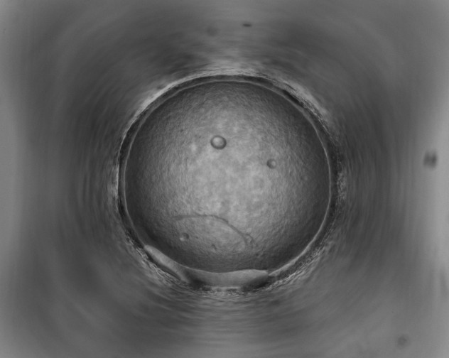 X0000100471220200806131120